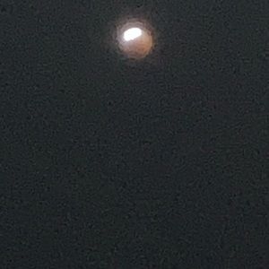 Meet your Posher, Randi